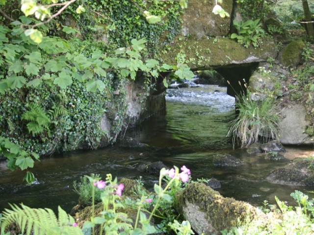 Local Scenery